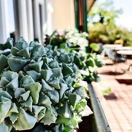 Hotel Castello S. Antonio 2*